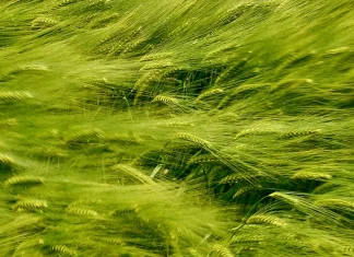 El aliento de Dios en tiempos difíciles