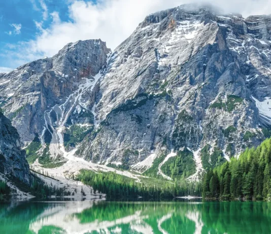 El mejor amigo de todos