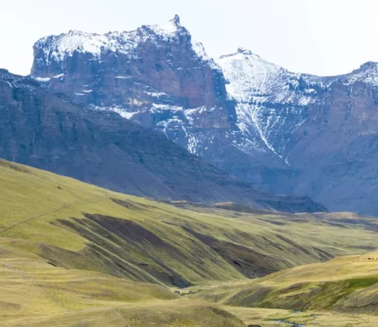 Nuestra seguridad económica