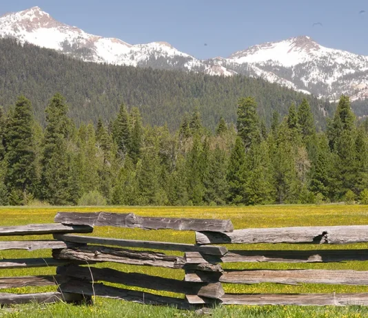 Gracia: La segunda oportunidad de Dios