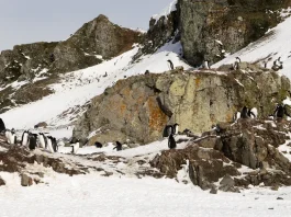 El milagro de la gracia