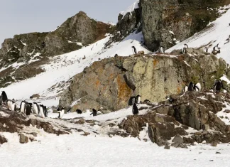 El milagro de la gracia