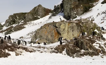 El milagro de la gracia