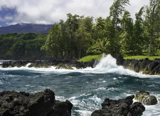 Cuando otros nos fallan