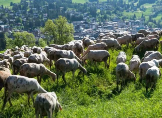 La lucha con la culpa