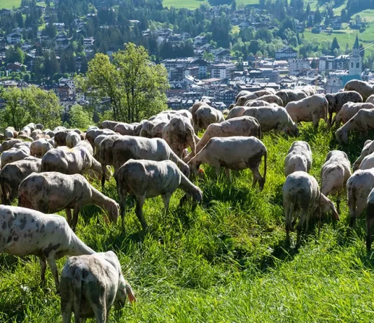 La lucha con la culpa