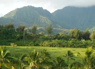 Dios obra en nosotros