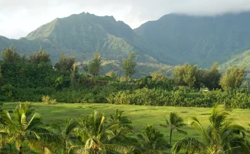 Dios obra en nosotros