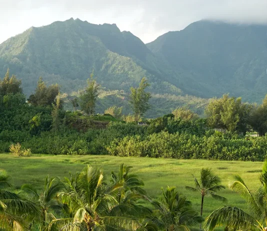 Dios obra en nosotros