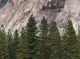 Decir que sí por fe