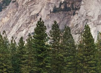 Decir que sí por fe