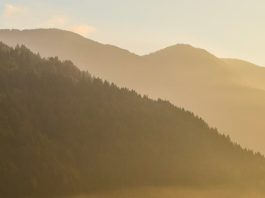 Decir que sí por fe