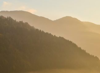 Decir que sí por fe