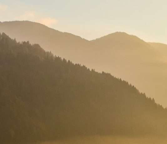 Decir que sí por fe