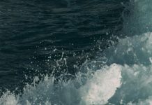 Una respuesta semejante a la de Cristo