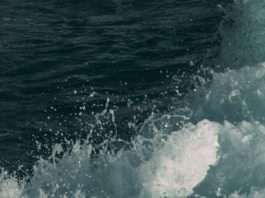 Una respuesta semejante a la de Cristo