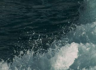 Una respuesta semejante a la de Cristo