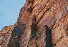 Biblias en el asiento trasero