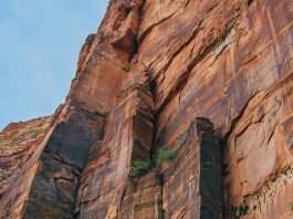 Biblias en el asiento trasero