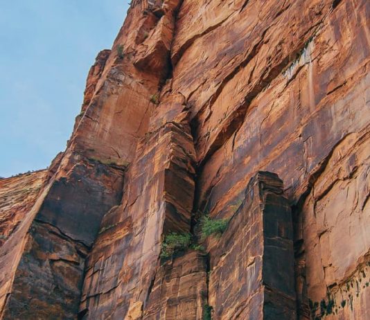 Biblias en el asiento trasero