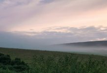 Actos sencillos de bondad