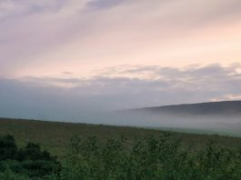 Actos sencillos de bondad