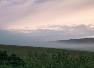Actos sencillos de bondad