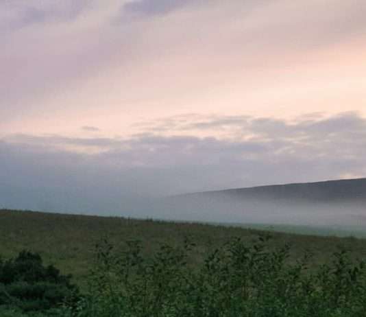 Actos sencillos de bondad