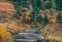 La velocidad del gozo