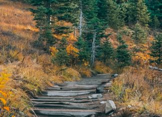 La velocidad del gozo