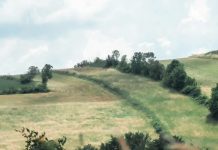 La provisión de Dios