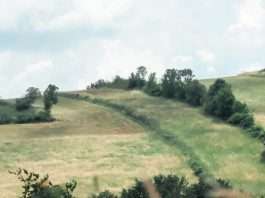 La provisión de Dios