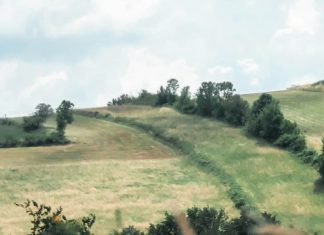 La provisión de Dios