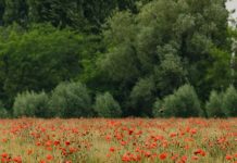 Transformado desde adentro