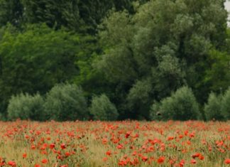 Transformado desde adentro