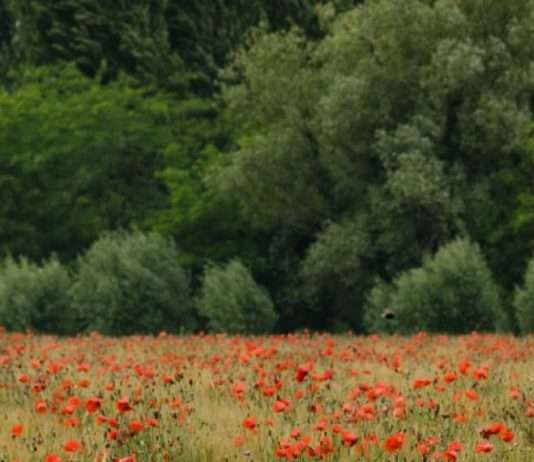 Transformado desde adentro