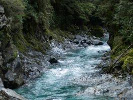 El Espíritu Santo está presente