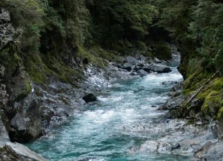 El Espíritu Santo está presente