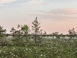 Liberarse de la carga