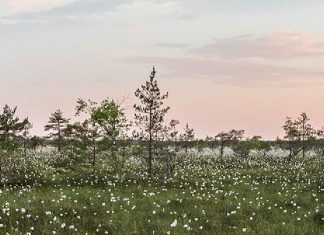 Liberarse de la carga