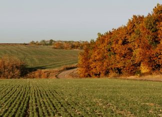 Una sorpresa hermosa