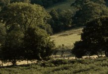 Tiempo bien aprovechado