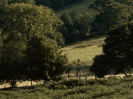 Tiempo bien aprovechado