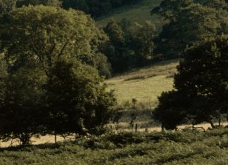 Tiempo bien aprovechado