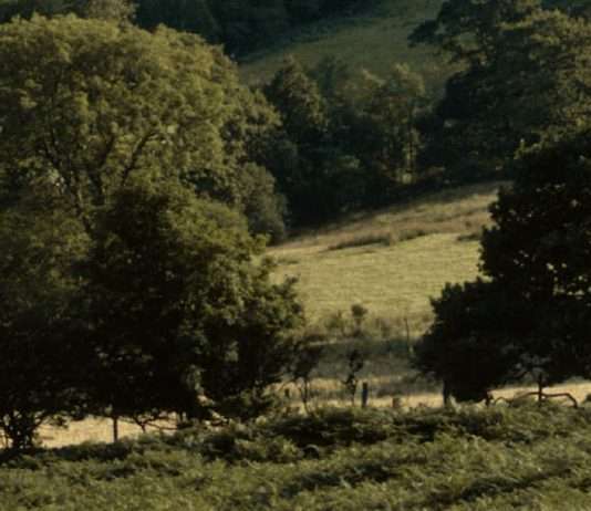 Tiempo bien aprovechado