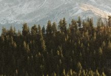 Servir a Dios para el bien