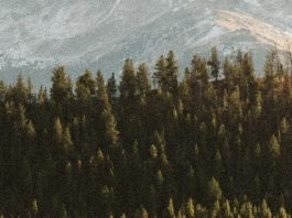 Servir a Dios para el bien