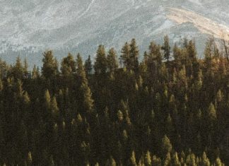 Servir a Dios para el bien