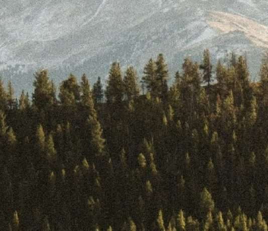 Servir a Dios para el bien