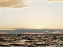 Persistir en la oración